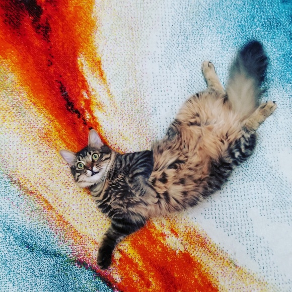 Meet Your Posher, Alyssa! - Picture 3 of 8